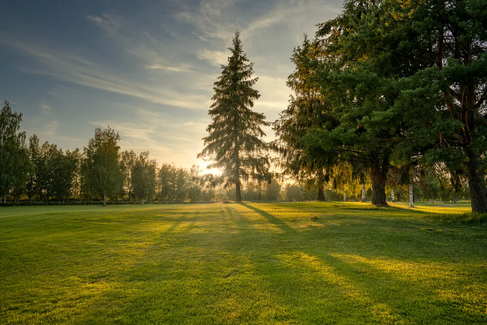 Kalafornia Golfin väylä